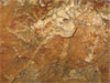 Crystal_Cave_057.jpg